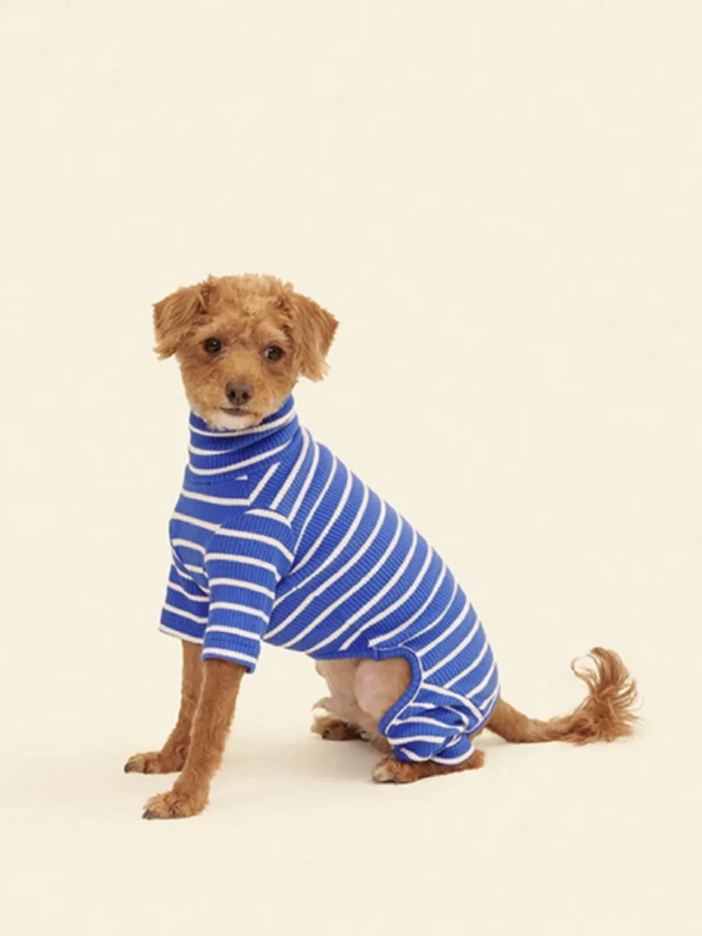 Little Beast ‘Greek To Me’ Blue & White Striped Dog Onesie XXS
